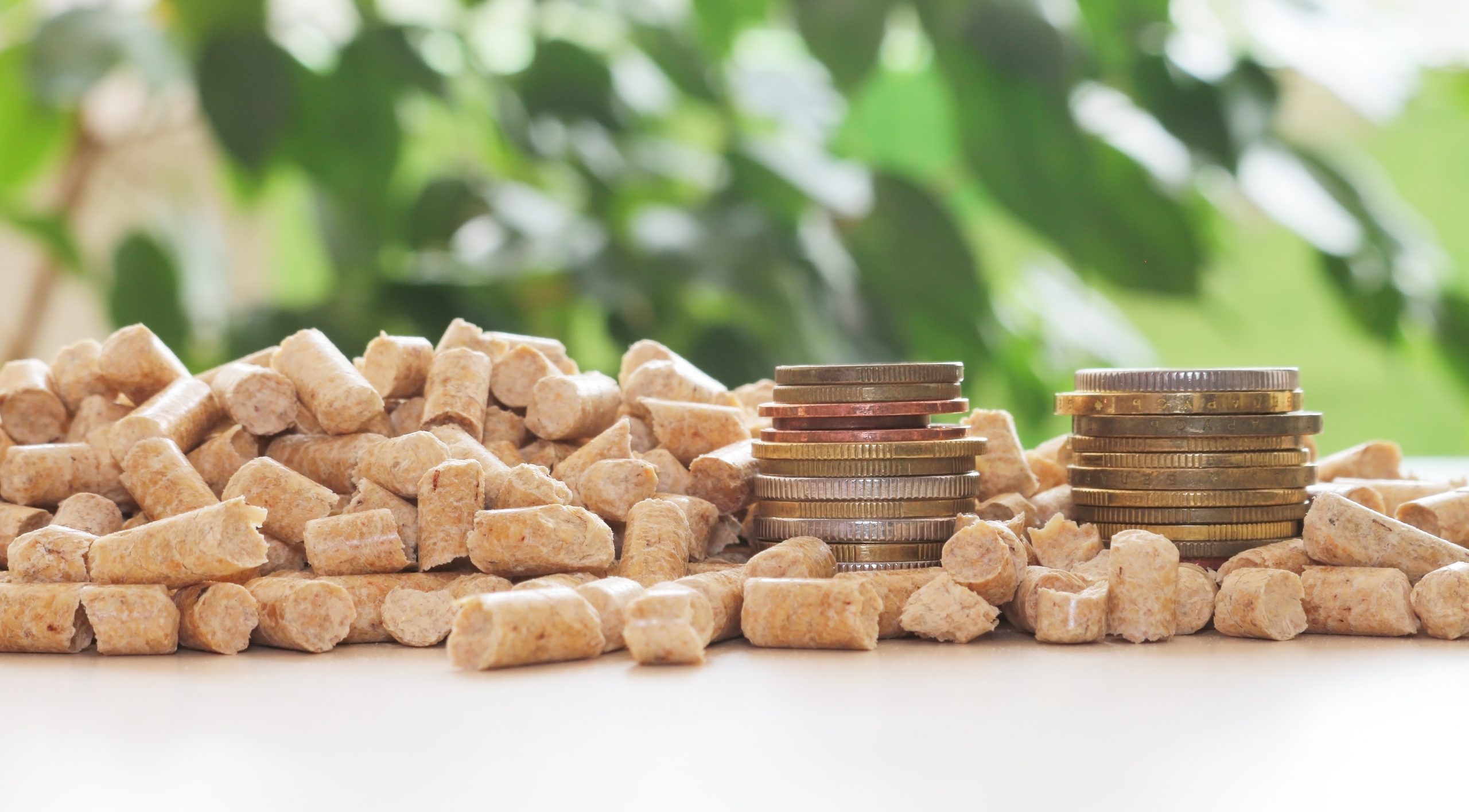 Picture of dollar savings in a jar with a wooden background.  Financial Incentives